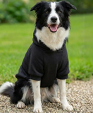 Mavis & Macy's Dog Hoodie