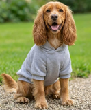 Mavis & Macy's Dog Hoodie