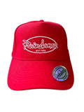 Raindance Embroidered 5 panel baseball cap